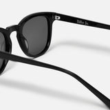 FREE POLARISED SUNNIES