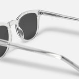 FREE POLARISED SUNNIES